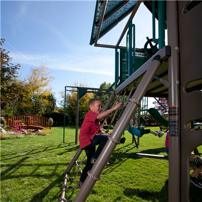 Lifetime Playset Double Slide Deluxe - Swings and More